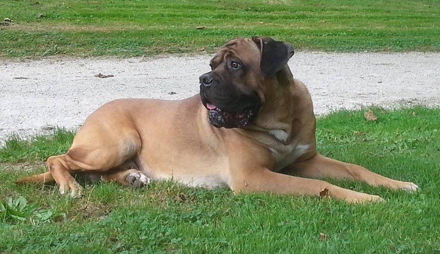 Helios of tbr (Sans Affixe)